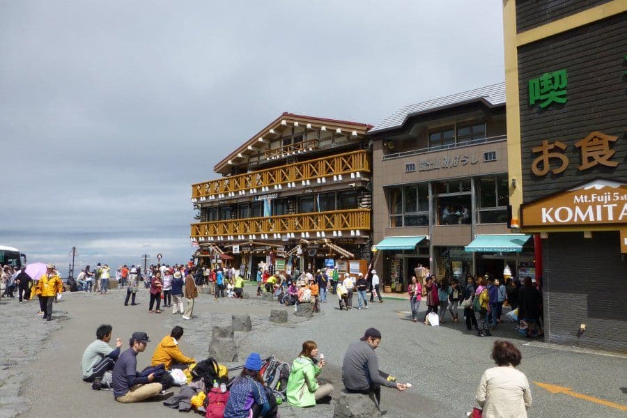 Mt. Fuji I Line: A one-day tour of the Mt. Fuji-Hakone Shinkansen bullet train.