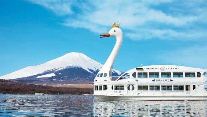 Mt. Fuji Oishi Park & ​​Lake Yamanaka KABA Amphibious Bus Day Tour