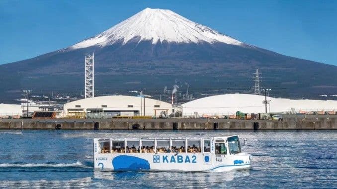 Mt. Fuji Oishi Park & ​​Lake Yamanaka KABA Amphibious Bus Day Tour