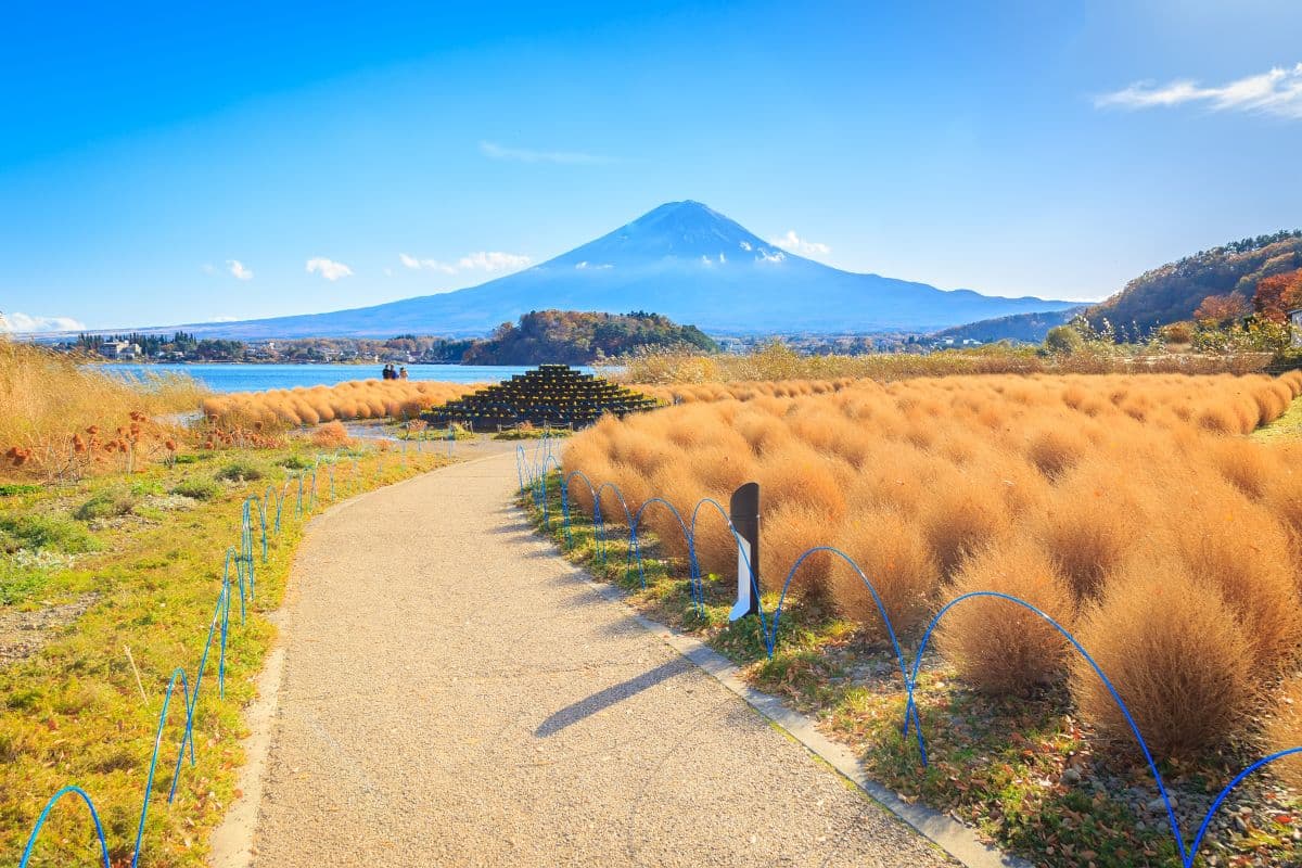Mt. Fuji Oishi Park & ​​Lake Yamanaka KABA Amphibious Bus Day Tour