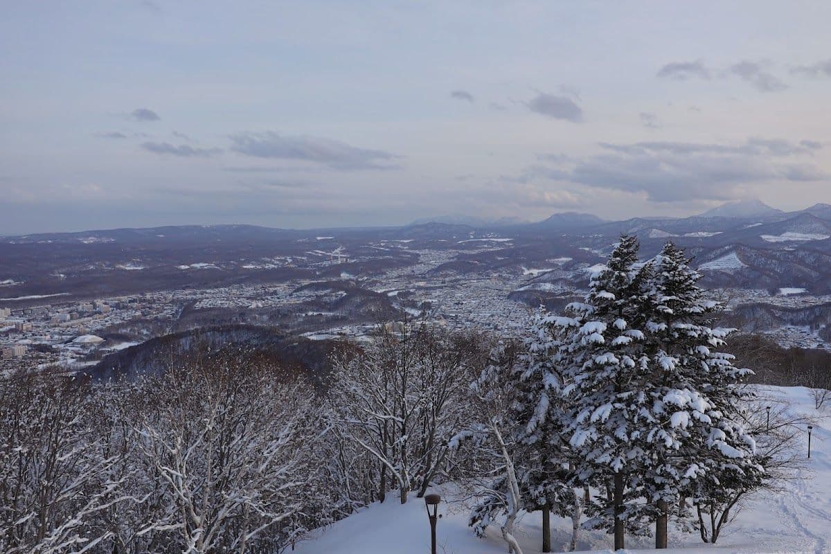 Mt. Moiwa Ropeway & Mini Cable Car Round-trip Ticket Package | Japan