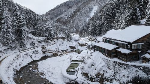 Nagano Snow Monkey 1 Day Tour with Beef Sukiyaki Lunch from Tokyo Day Tours