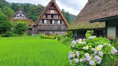 Nagoya Shirakawa-go wycieczka jednodniowa [Prywatna wycieczka + pielgrzymka śladami "Your Name"]