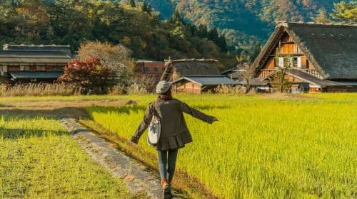Nagoya Shirakawa-go Gassho Village & Takayama Old Town Autumn Leaves Secret Tour 1-day tour