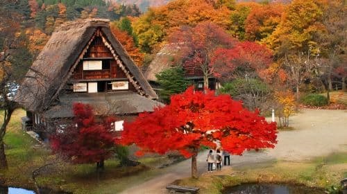 Nagoya Shirakawa-go Gassho Village & Takayama Old Town Autumn Leaves Secret Tour 1-day tour