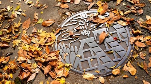 Nagoya Shirakawa-go Gassho Village & Takayama Old Town Autumn Leaves Secret Tour 1-dniowa wycieczka