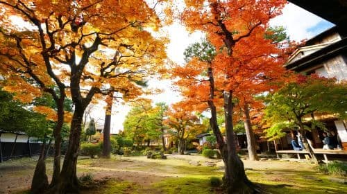 Nagoya Shirakawa-go Gassho Village & Takayama Old Town Autumn Leaves Secret Tour 1-dniowa wycieczka