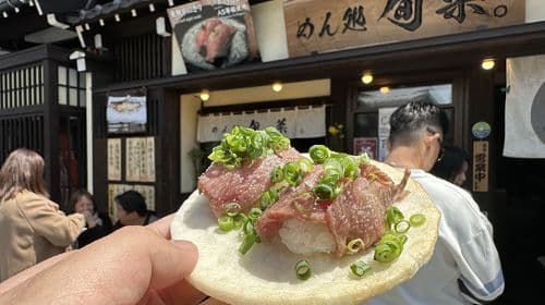 Nagoya Takayama Shirakawa one-day tour| 9-person small group/ bus group Chinese/Mandarin service available Day Tours