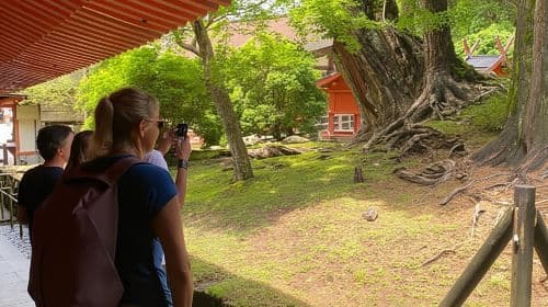 Nara City Tour | 사원, 공원 및 지역 명소를 탐방하는 일일 투어