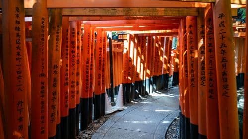 Nara Kyoto Twin Cities Pilgerreise 1-Tages-Tour: Nara Park + Fushimi Inari Taisha + Byodo-in Tempel Tagestouren