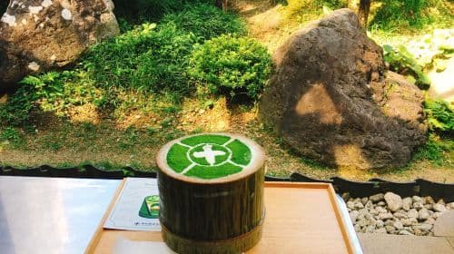 Nara Park + Uji 1-day tour