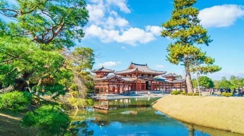 Nara Park + Uji 1-day tour, feed adorable deer, taste matcha, admire maple leaves