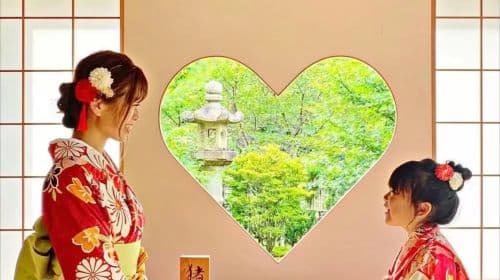 Nara Park + Uji 1-day tour, feed adorable deer, taste matcha, admire maple leaves