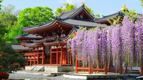 Nara Park + Uji 1-day tour, feed adorable deer, taste matcha, admire maple leaves Day Tours