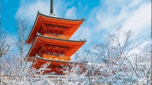 Nara Park Day Tours