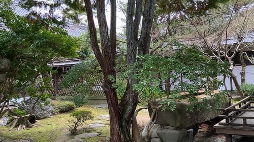 Nara: Essenzielle Privattour mit Deer Park und Tempeln Tagestouren