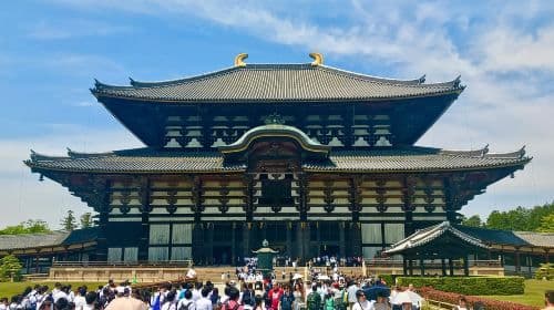 Nara: Todai-ji y parque de Nara (Spanish Guide) Day Tours