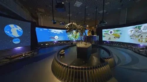 National Museum of Nature and Science
