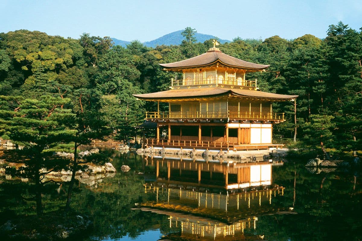 Tour giornaliero del Castello di Nijo, del Tempio Kinkakuji, di Arashiyama e del Santuario Fushimi Inari con i suoi mille Torii