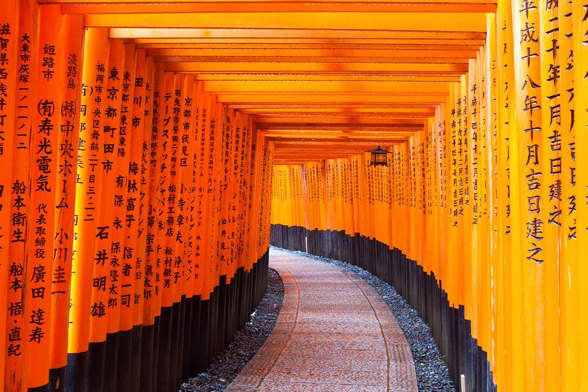 Tour giornaliero del Castello di Nijo, del Tempio Kinkakuji, di Arashiyama e del Santuario Fushimi Inari con i suoi mille Torii