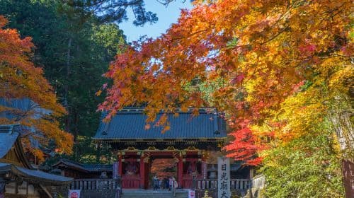 Nikko Toshogu Shrine