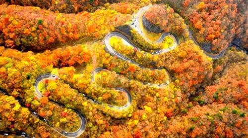 Nikko World Heritage Site, Toshogu Shrine, Lake Chuzenji, and Kegon Falls 1-day tour with Autumn Leaf Viewing Day Tours