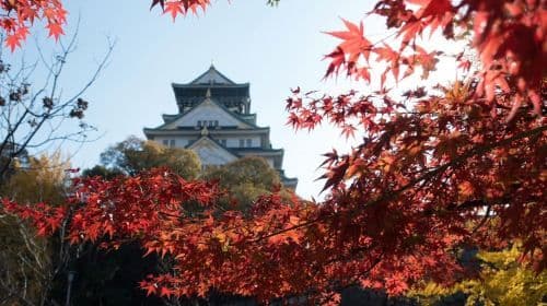 Osaka: 3-godzinna historyczna piesza wycieczka po zamku Osaka Castle