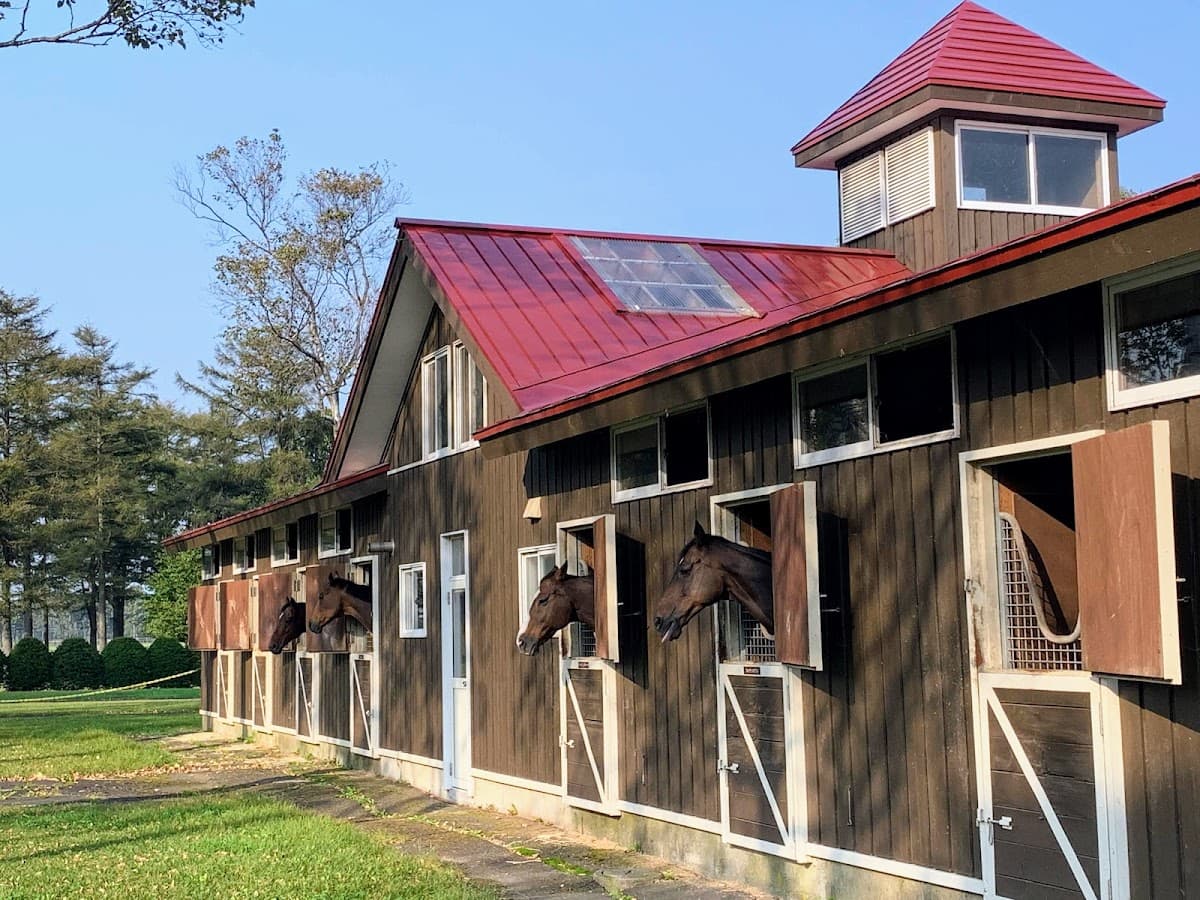 Northern Horse Park