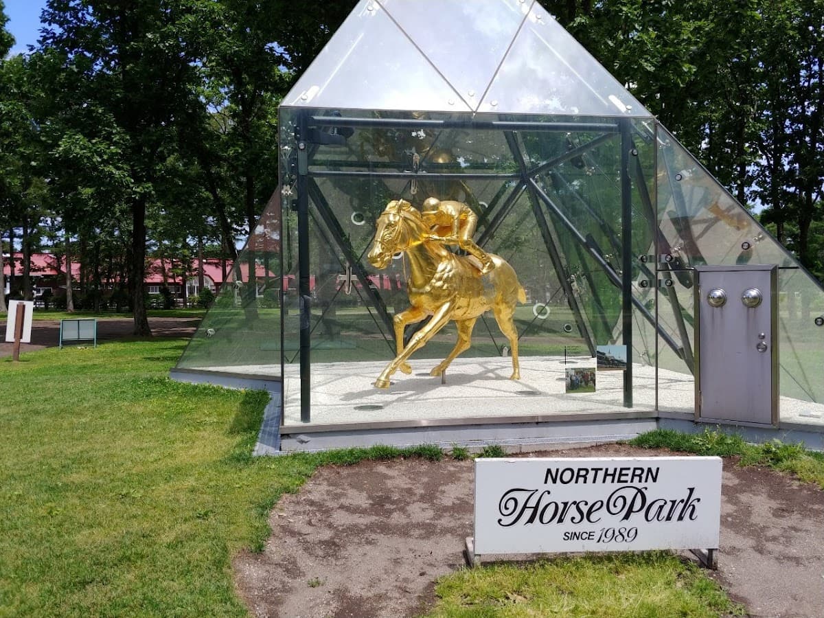 Northern Horse Park