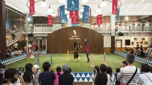 Northern Horse Park