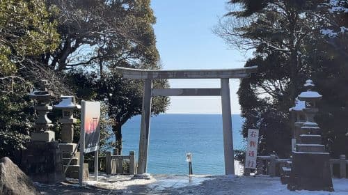 Oarai Isosaki Shrine Torii + Nakaminato Seafood Market + Hitachi Seaside Park one-day tour (Ibaraki flower fields)