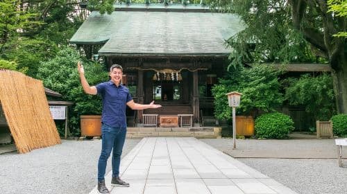 Odawara: Odawara Castle and Town Guided Discovery Tour Day Tours