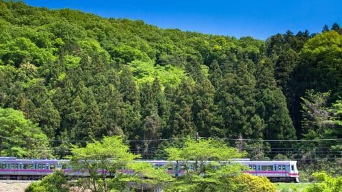 Billet officiel : Mount Takao + Keio Line Billet combiné 1 jour Pass de transport