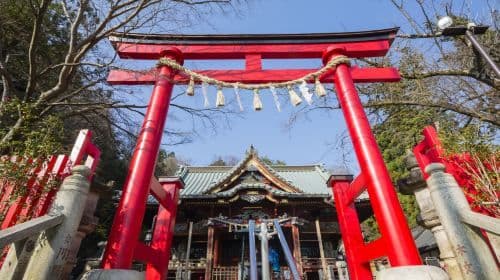 公式チケット: Mount Takao + Keio Line 1-day Combo Ticket 交通パス