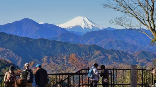 公式チケット: Mount Takao + Keio Line 1-day Combo Ticket 交通パス
