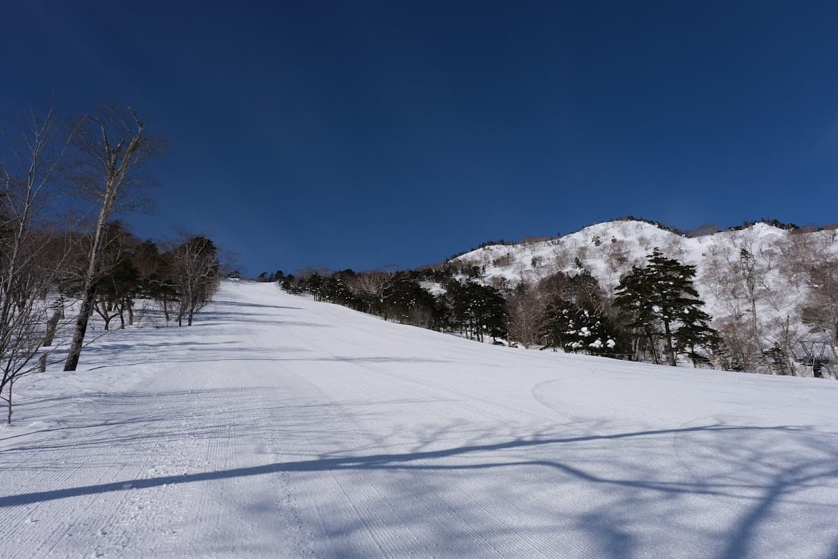 Oguna Hotaka SKI AREA!!!