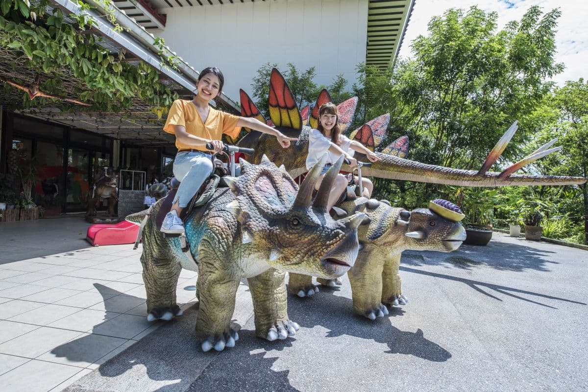 Okashigoten Nago Dino Park Yanbaru Subtropical Forest