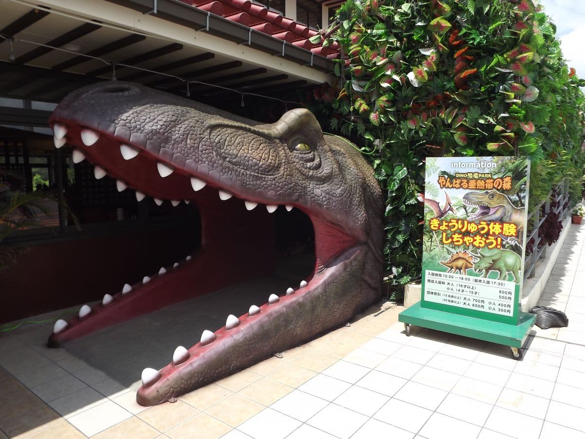 Okashigoten Nago Dino Park Yanbaru Subtropical Forest