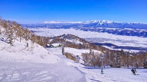 Private Ski Lessons in Furano, Hokkaido [Internationally Certified Professional Instructor | Instruction in Chinese/English]