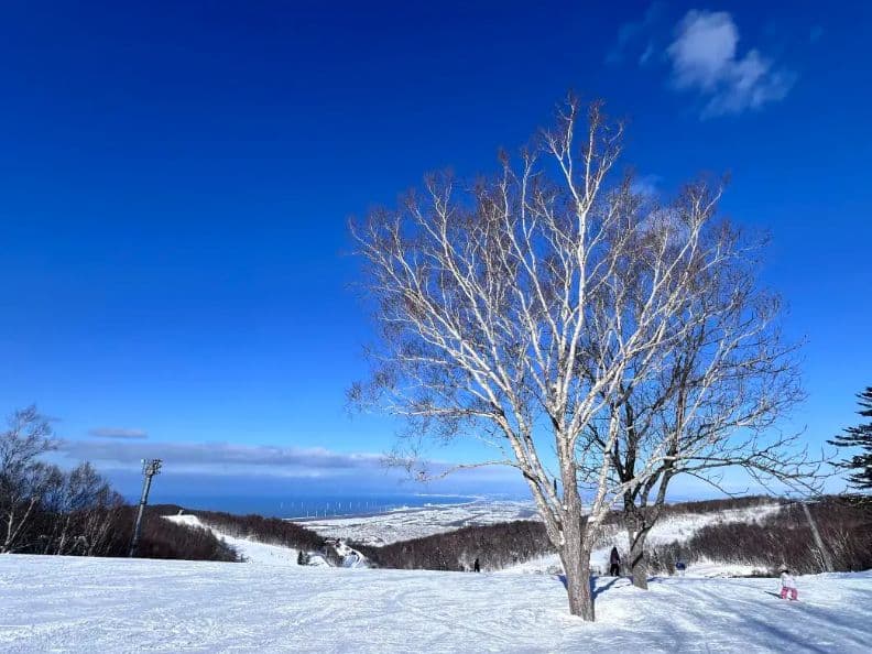 Privé skiles in Hokkaido Teine [Internationaal gecertificeerde instructeurs | Instructie in Chinees/Engels]