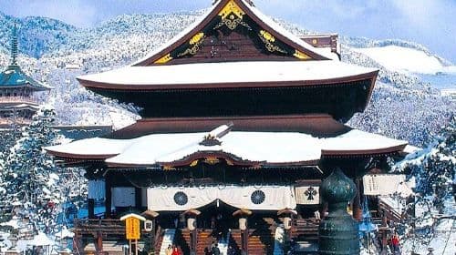 Gita giornaliera privata al parco delle scimmie delle nevi da Tokyo o Nagano