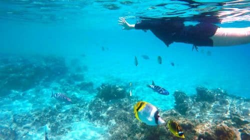 Okinawa Blue Cave ダイビング＆シュノーケリング 0.5時間アクティビティ [シュノーケリング/プライベートボート/NahaまたはChatan送迎]