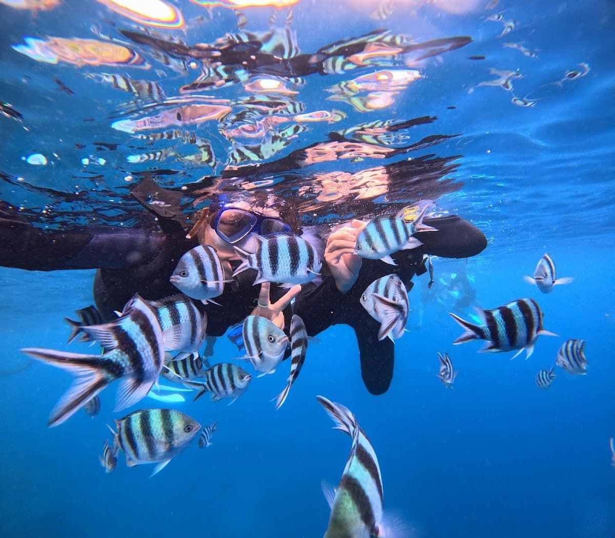 Okinawa Blue Cave Experience