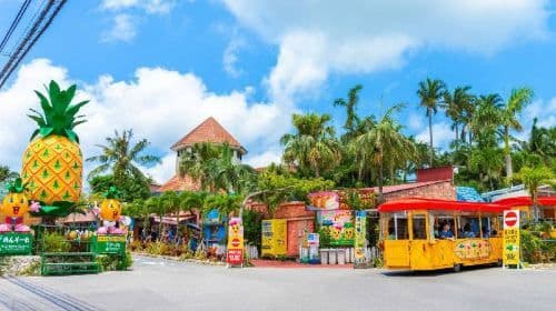 Okinawa City Pass | Have Fun In Okinawa | 1-tygodniowy darmowy karnet Okinawa Enjoyment