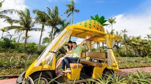 Okinawa City Pass | Have Fun In Okinawa | 1-tygodniowy darmowy karnet Okinawa Enjoyment