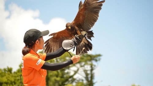 Okinawa FunPASS Super Saver Series | Choose Your Attraction Experience, Transportation & Shopping Discounts