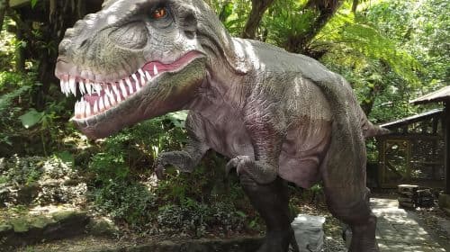 Okinawa FunPASS Super Saver Series | Elige tu experiencia en atracciones, transporte y descuentos en compras