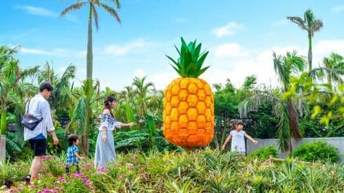 Okinawa FunPASS Super Saver Series | Elige tu experiencia en atracciones, transporte y descuentos en compras