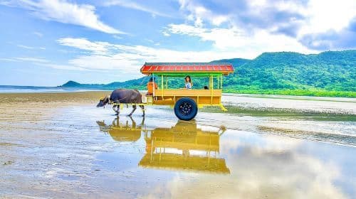 Okinawa Iriomote SUP or Canoe and Sightseeing in Yubujima Island