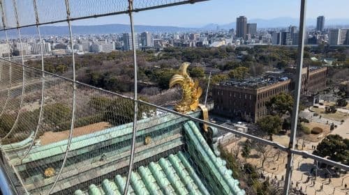 Osaka: Osaka Castle Guided Tour with Local Guide Day Tours